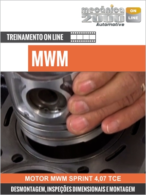 Motor Sprint MWM