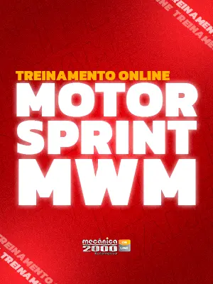 Motor Sprint MWM