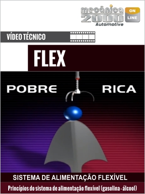 EaD Sistema FLEX - e