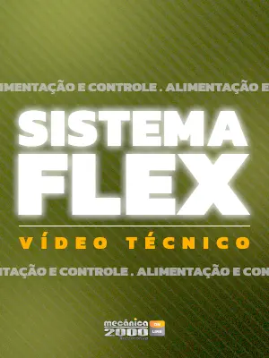 Sistema FLEX