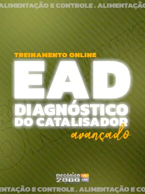 Diagnóstico catalisador