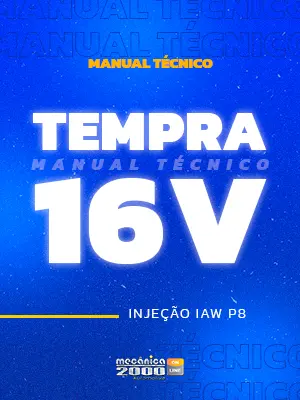 Injeção eletrônica  IAW P8