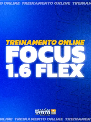 Focus 1.6 Flex