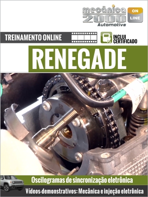 Renegade 1.8